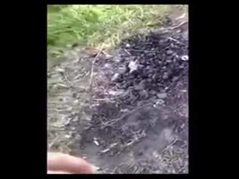 Putinha dando pra dois no mato