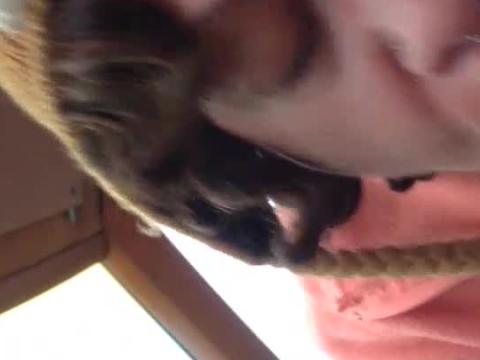Trim.3ae36853-bde2-4dc0-aae4-6ab6e1cf630e.mov